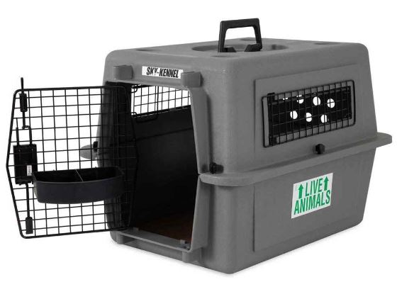 Petmate Sky Kennel Taşıma Kafesi No:2 (54 x 41 x 38cm)