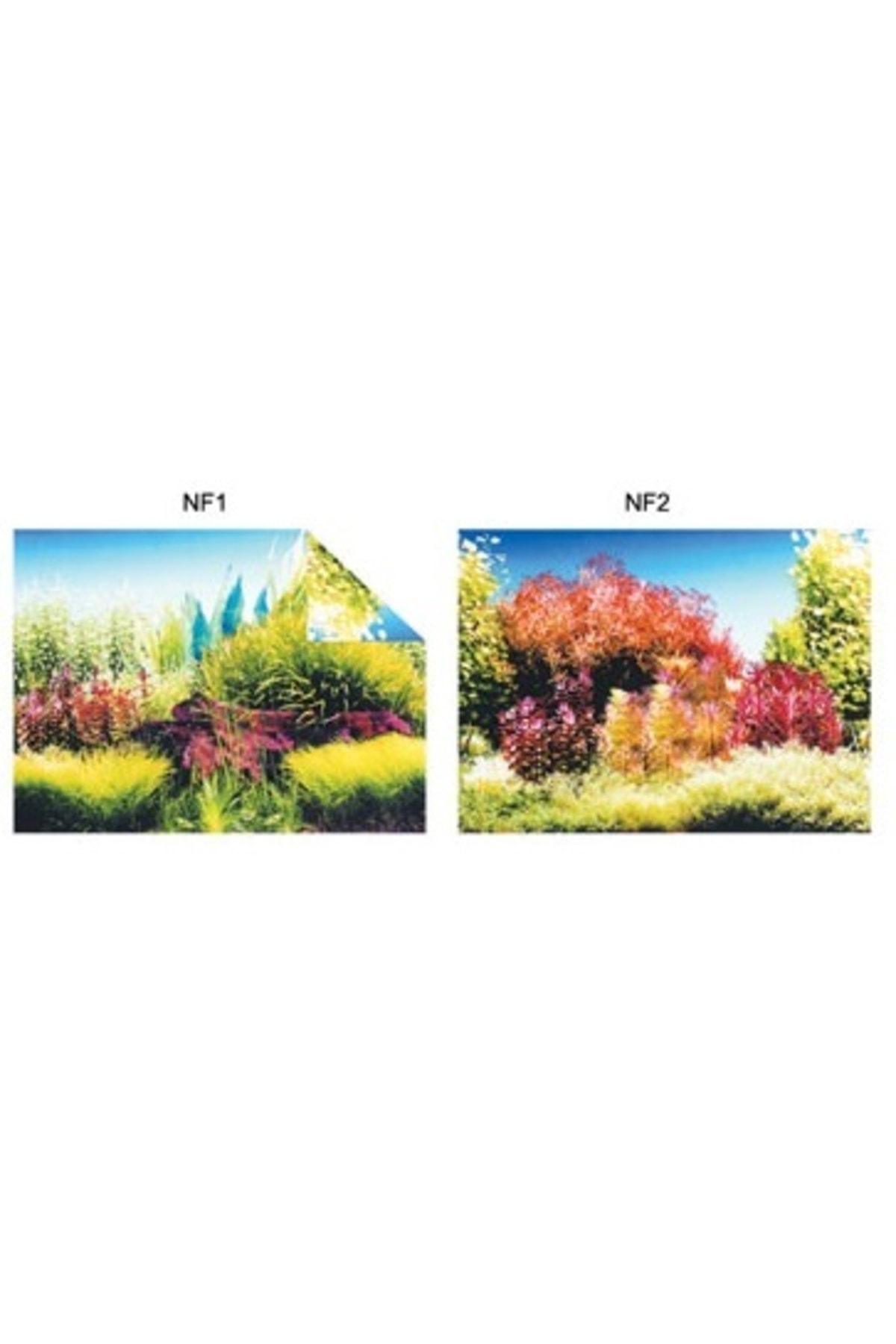 Pls.poster 48 Cm 15 Mt