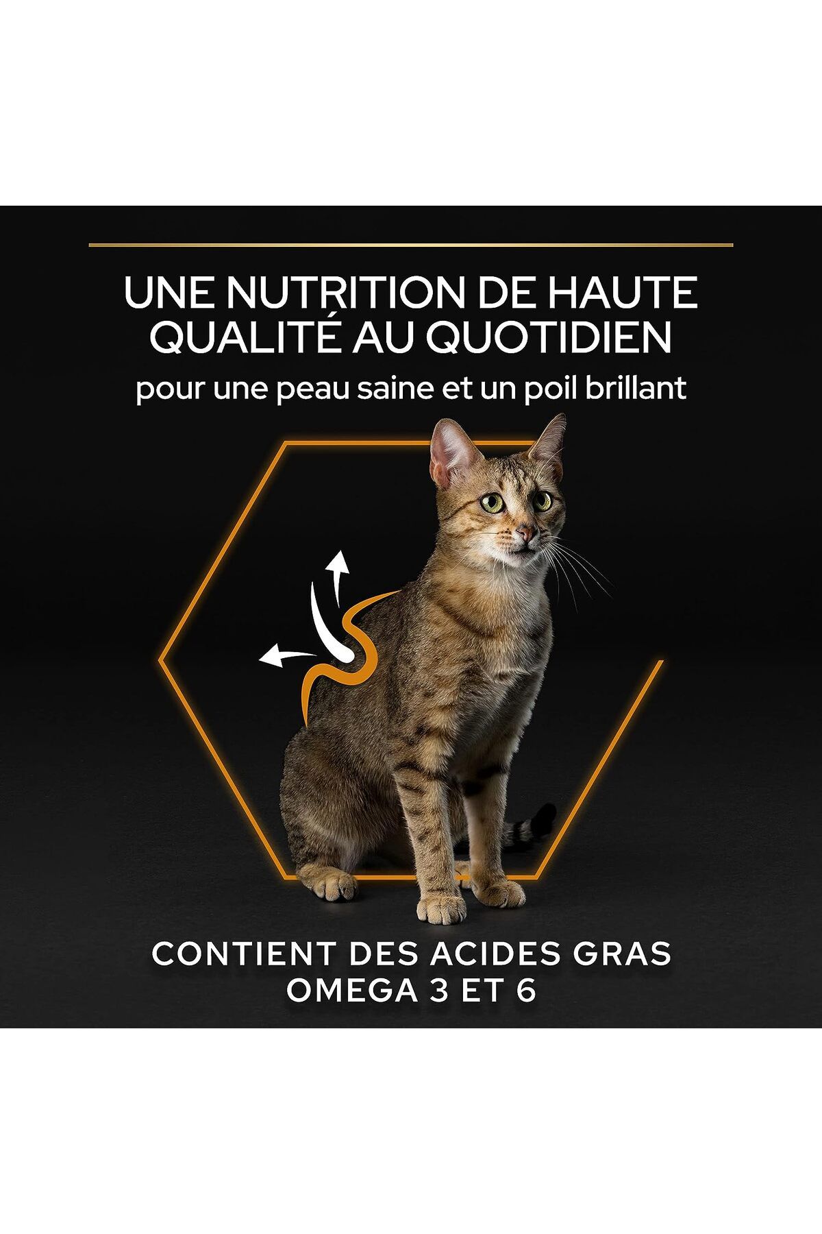 Pro Plan Derma Care Tüy Yumaği Kontrolü Somonlu Kedi Mamasi 3 Kg ( elegant derma adult )