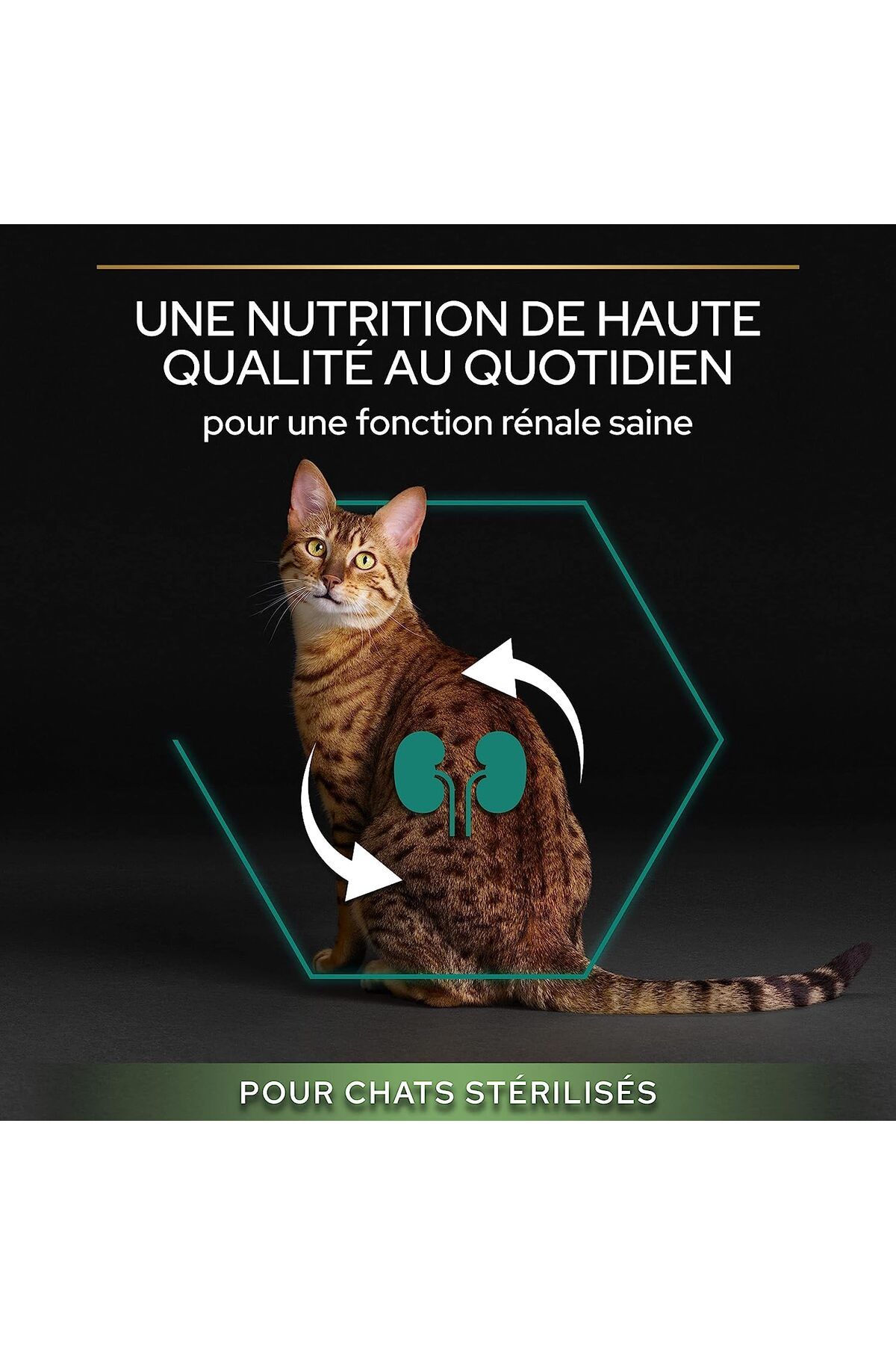 Pro Plan Sterilised Kısırlaştırılmış Kediler Için Somonlu Ve Ton Balıklı Kedi Maması 3 Kg
