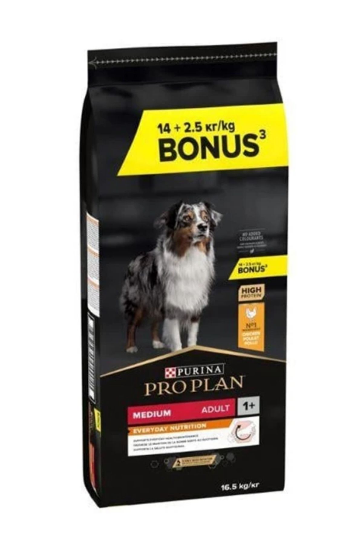 Proplan Medium Adult Tavuklu Yetişkin Köpek Maması 16,5 Kg