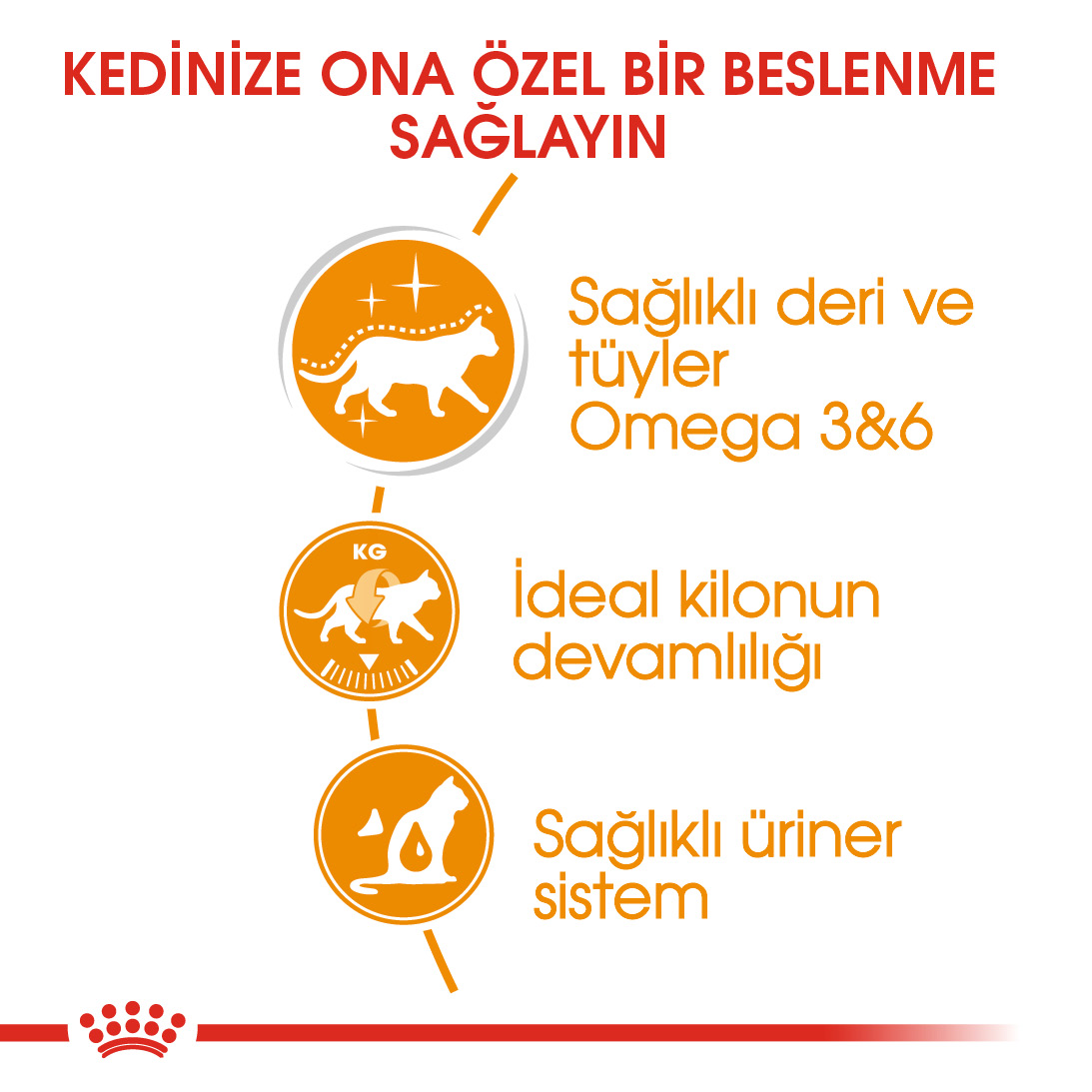 Royal Canin Intense Beauty Pouch Kedi Konserve Yaş Maması 85 Gr