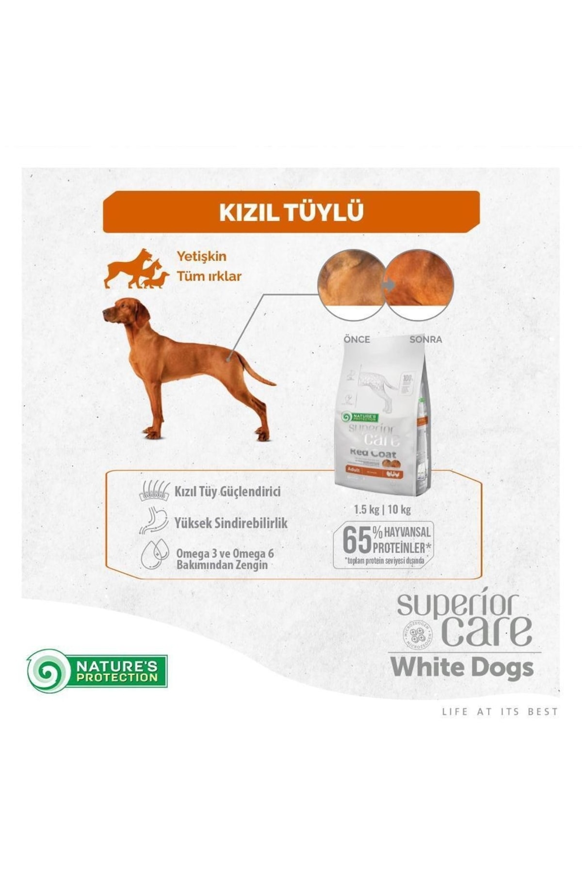 Natures Protection Superior Care Red Coat Küçük Irk Kuzulu Kızıl Köpek Köpek Maması 10 Kg