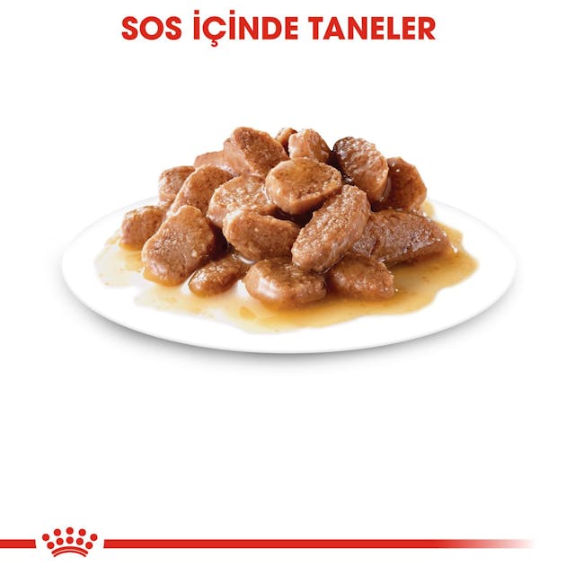 Royal Canin Ageing 12+ Gravy Pouch Yaşlı Kedi Yaş Maması 85 Gr