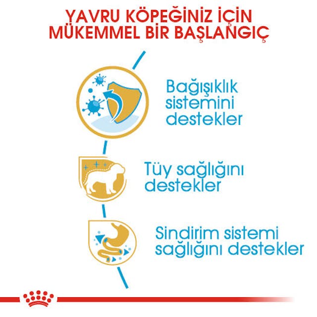 Royal Canin Poodle Puppy Yavru Köpek Maması 3 Kg