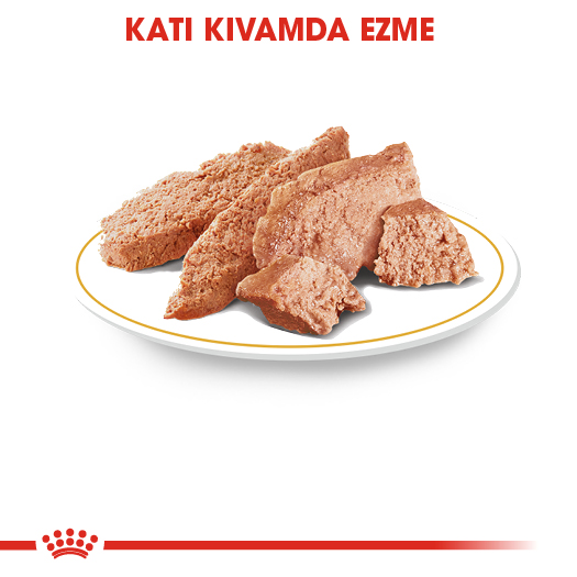 Royal Canin Yorkshire Terrier Adult Yetişkin Köpek Konserve Yaş Mama Pouch 85 Gr