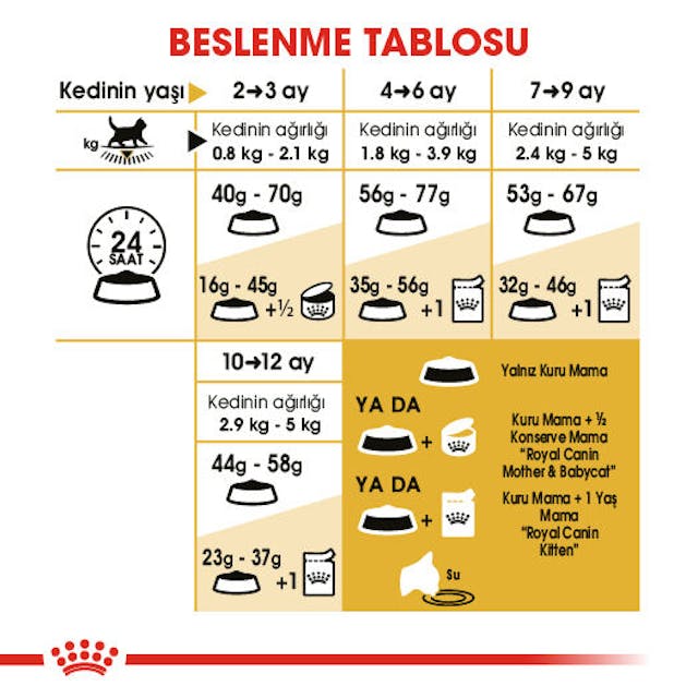 Royal Canin British Shorthair Kitten Yavru Kedi Maması 2 Kg Royal Canin British Shorthair Kitten Yavru Kedi Maması 2 Kg