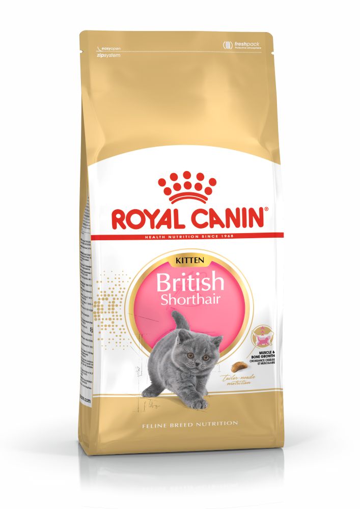 Royal Canin British Shorthair Kitten Yavru Kedi Maması 2 Kg Royal Canin British Shorthair Kitten Yavru Kedi Maması 2 Kg