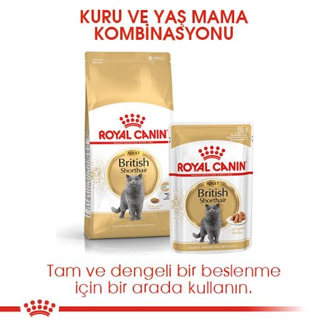 Royal Canin British Shorthair Adult Yetişkin Kedi Maması 2 Kg Royal Canin British Shorthair Adult Yetişkin Kedi Maması 2 Kg