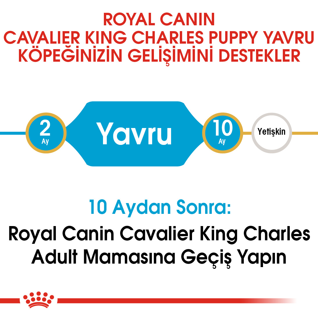 Royal Canin Cavalier King Charles Puppy Yavru Köpek Maması 1,5 Kg Royal Canin Cavalier King Charles Puppy Yavru Köpek Maması 1,5 Kg