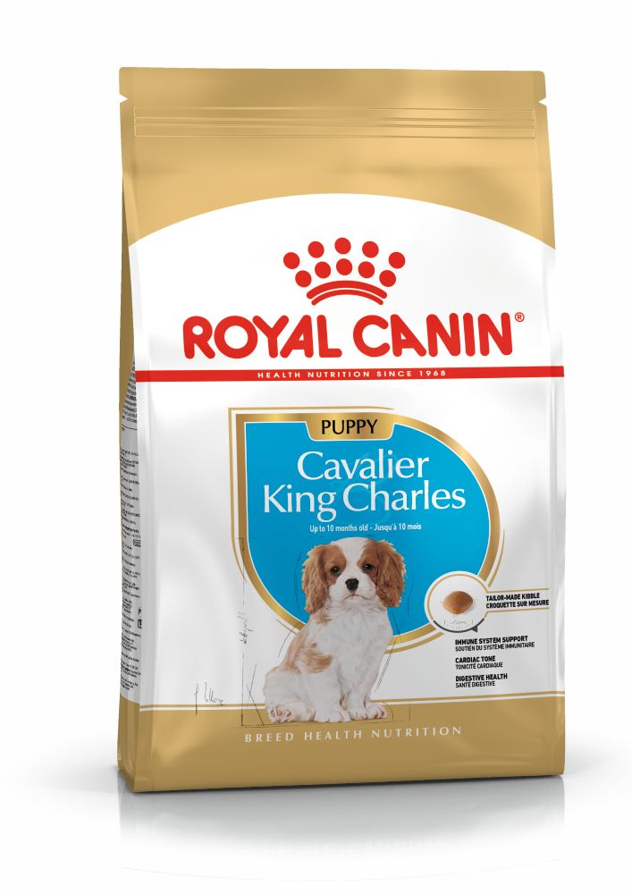 Royal Canin Cavalier King Charles Puppy Yavru Köpek Maması 1,5 Kg Royal Canin Cavalier King Charles Puppy Yavru Köpek Maması 1,5 Kg