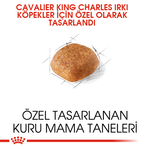 Royal Canin Cavalier King Charles Adult Yetişkin Köpek Maması 1,5 Kg