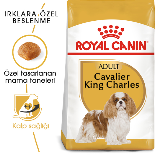 Royal Canin Cavalier King Charles Adult Yetişkin Köpek Maması 3 Kg