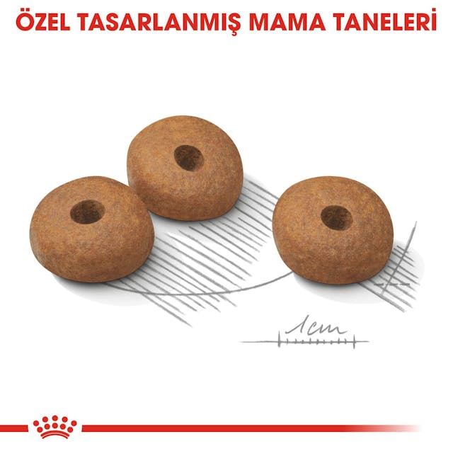 Royal Canin Mini Light Weight Care Küçük Irk Diyet Köpek Maması 3 Kg