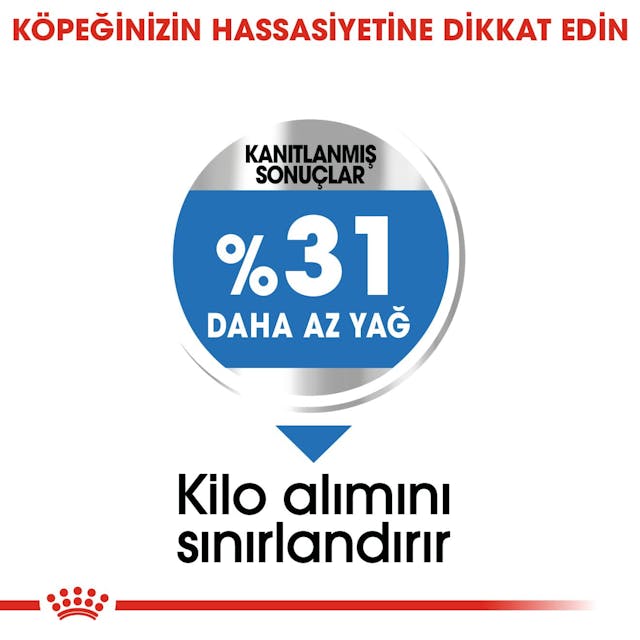 Royal Canin Mini Light Weight Care Küçük Irk Diyet Köpek Maması 3 Kg