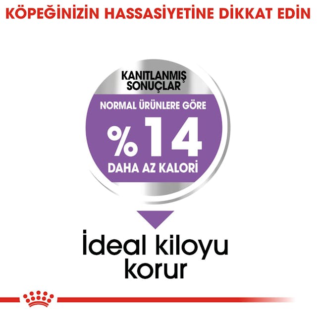 Royal Canin Mini Sterilised Küçük Irk Kısırlaştırılmış Yetişkin Köpek Maması 3 Kg Royal Canin Mini Sterilised Küçük Irk Kısırlaştırılmış Yetişkin Köpek Maması 3 Kg