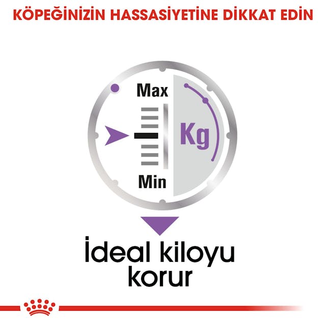 Royal Canin CCN Mini Sterilised Adult Kısırlaştırılmış Köpek Pouch Konserve Yaş Mama 85 Gr