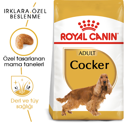 Royal Canin Cocker Adult Yetişkin Köpek Maması 3 Kg