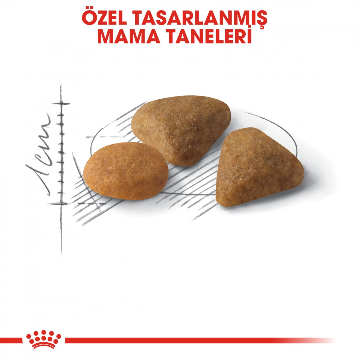 Royal Canin Savour Exigent Yetişkin Kedi Maması 2 Kg