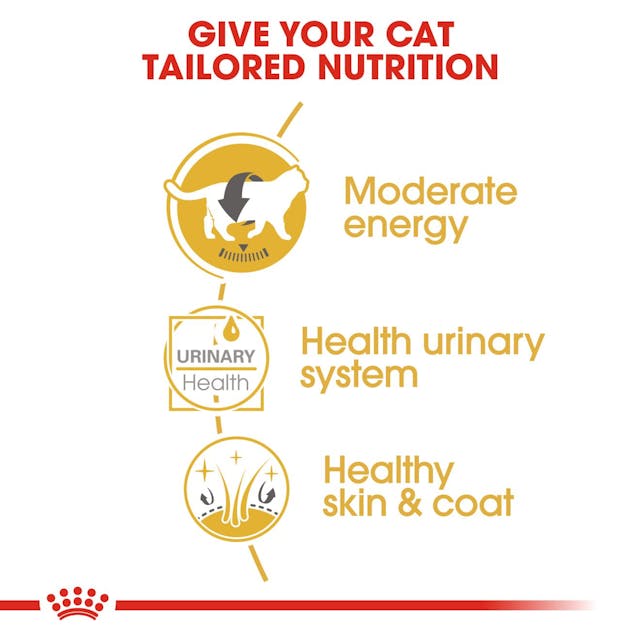 Royal Canin British Shorthair Yaş Kedi Maması Pouch 85gr