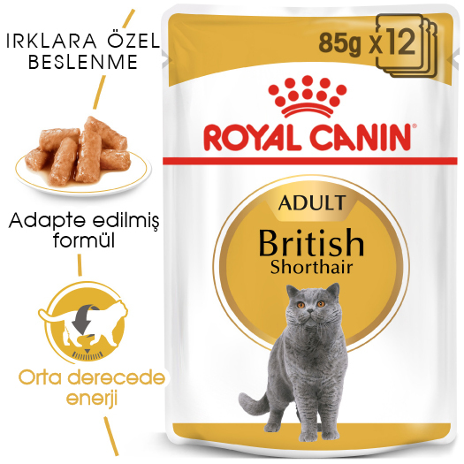 Royal Canin British Shorthair Yaş Kedi Maması Pouch 85gr Royal Canin British Shorthair Yaş Kedi Maması Pouch 85gr