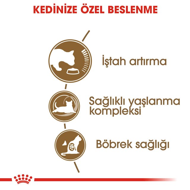 Royal Canin Ageing 12+ Yaşlı Kuru Kedi Maması 2 Kg Royal Canin Ageing 12+ Yaşlı Kuru Kedi Maması 2 Kg