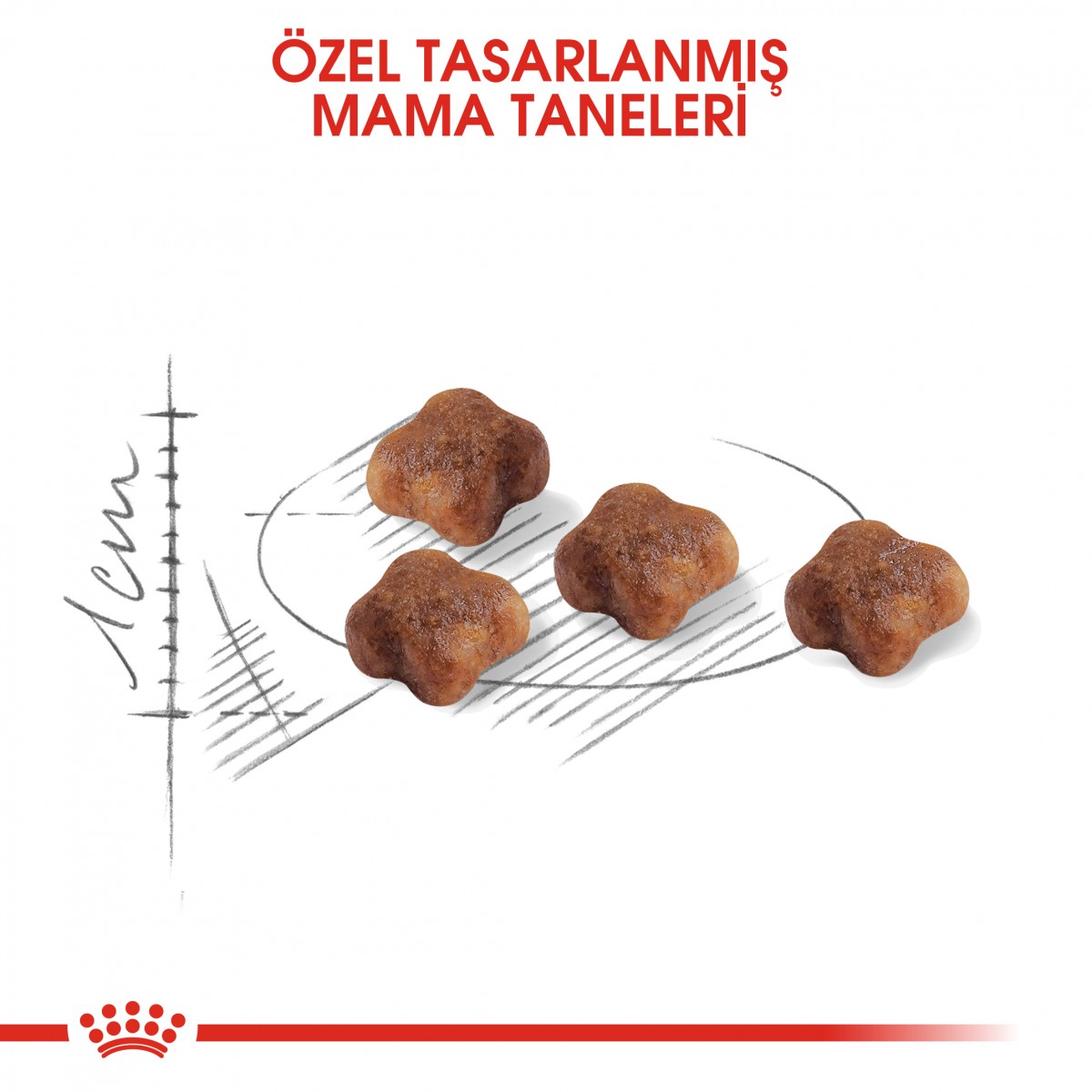 Royal Canin Mother & Babycat Anne ve Yavru Kedi Maması 4 Kg
