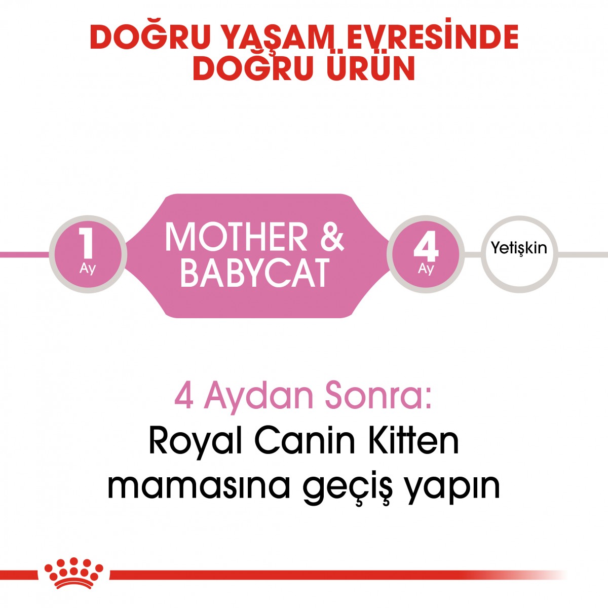 Royal Canin Mother & Babycat Anne ve Yavru Kedi Maması 4 Kg Royal Canin Mother & Babycat Anne ve Yavru Kedi Maması 4 Kg
