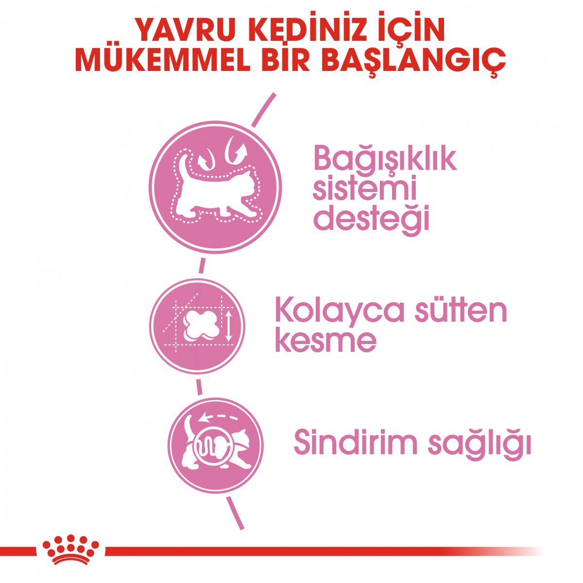 Royal Canin Mother & Babycat Anne ve Yavru Kedi Maması 4 Kg