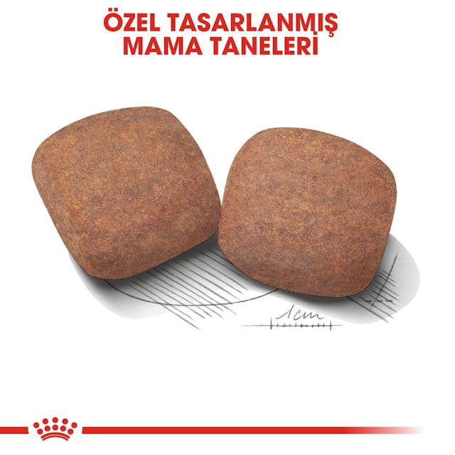 Royal Canin Giant Adult Dev Irk Yetişkin Köpek Maması 15 Kg Royal Canin Giant Adult Dev Irk Yetişkin Köpek Maması 15 Kg