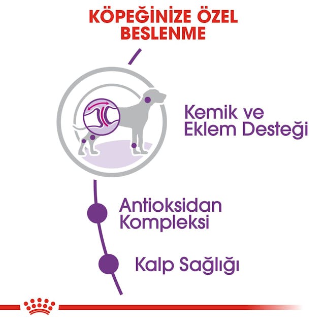 Royal Canin Giant Adult Dev Irk Yetişkin Köpek Maması 15 Kg Royal Canin Giant Adult Dev Irk Yetişkin Köpek Maması 15 Kg