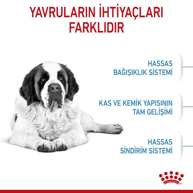 Royal Canin Giant Junior Dev Irk Yavru Köpek Maması 15 Kg Royal Canin Giant Junior Dev Irk Yavru Köpek Maması 15 Kg