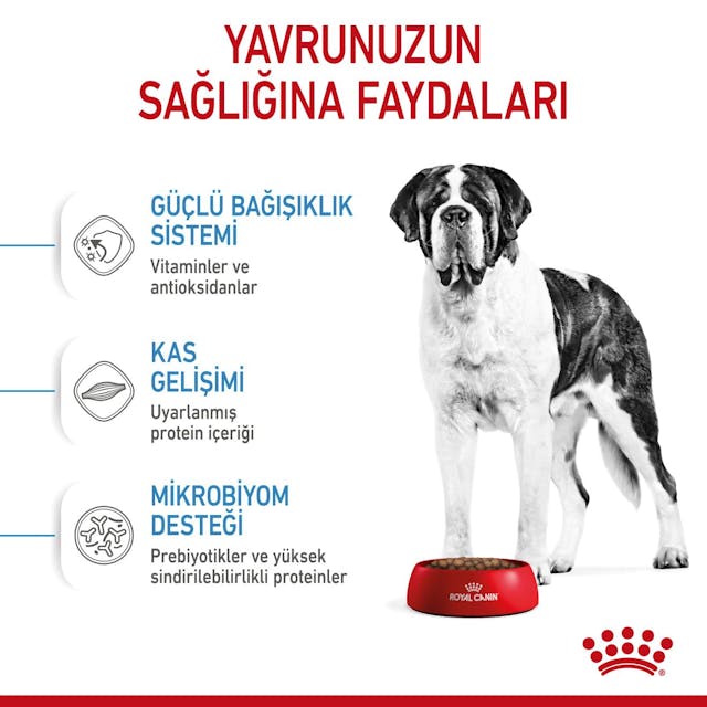 Royal Canin Giant Junior Dev Irk Yavru Köpek Maması 15 Kg Royal Canin Giant Junior Dev Irk Yavru Köpek Maması 15 Kg