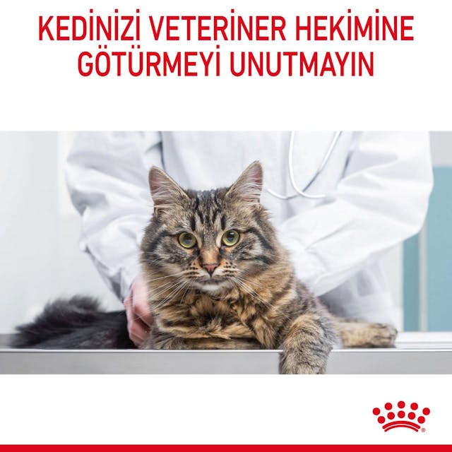 Royal Canin Hair & Skin Care Yetişkin Kedi Maması 2 Kg - Tüy ve Deri Sağlığı İçin Özel Formül Royal Canin Hair & Skin Care Yetişkin Kedi Maması 2 Kg - Tüy ve Deri Sağlığı İçin Özel Formül