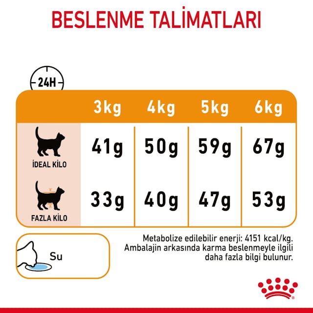 Royal Canin Hair & Skin Care Yetişkin Kedi Maması 2 Kg - Tüy ve Deri Sağlığı İçin Özel Formül Royal Canin Hair & Skin Care Yetişkin Kedi Maması 2 Kg - Tüy ve Deri Sağlığı İçin Özel Formül