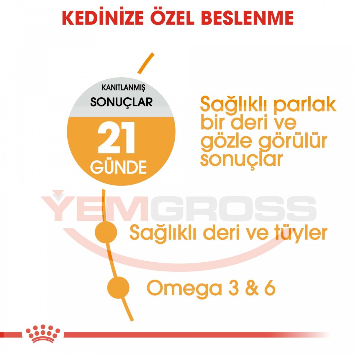 Royal Canin Hair & Skin Care Yetişkin Kedi Maması 4 Kg - Tüy ve Deri Sağlığı İçin Özel Formül