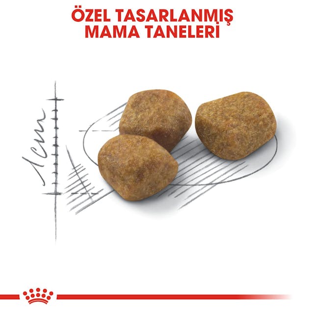 Royal Canin Indoor 7+ Ev Kedileri İçin Yaşlı Kedi Maması 3,5 Kg Royal Canin Indoor 7+ Ev Kedileri İçin Yaşlı Kedi Maması 3,5 Kg