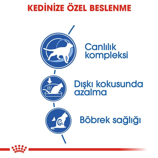 Royal Canin Indoor 7+ Ev Kedileri İçin Yaşlı Kedi Maması 3,5 Kg