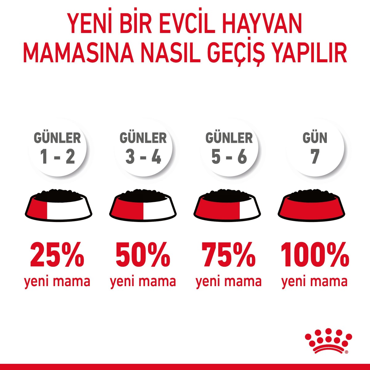 Royal Canin Hair Skin Jelly Hassas Tüylü Yetişkin Kedi Konserve Yaş Maması Pouch 85 Gr