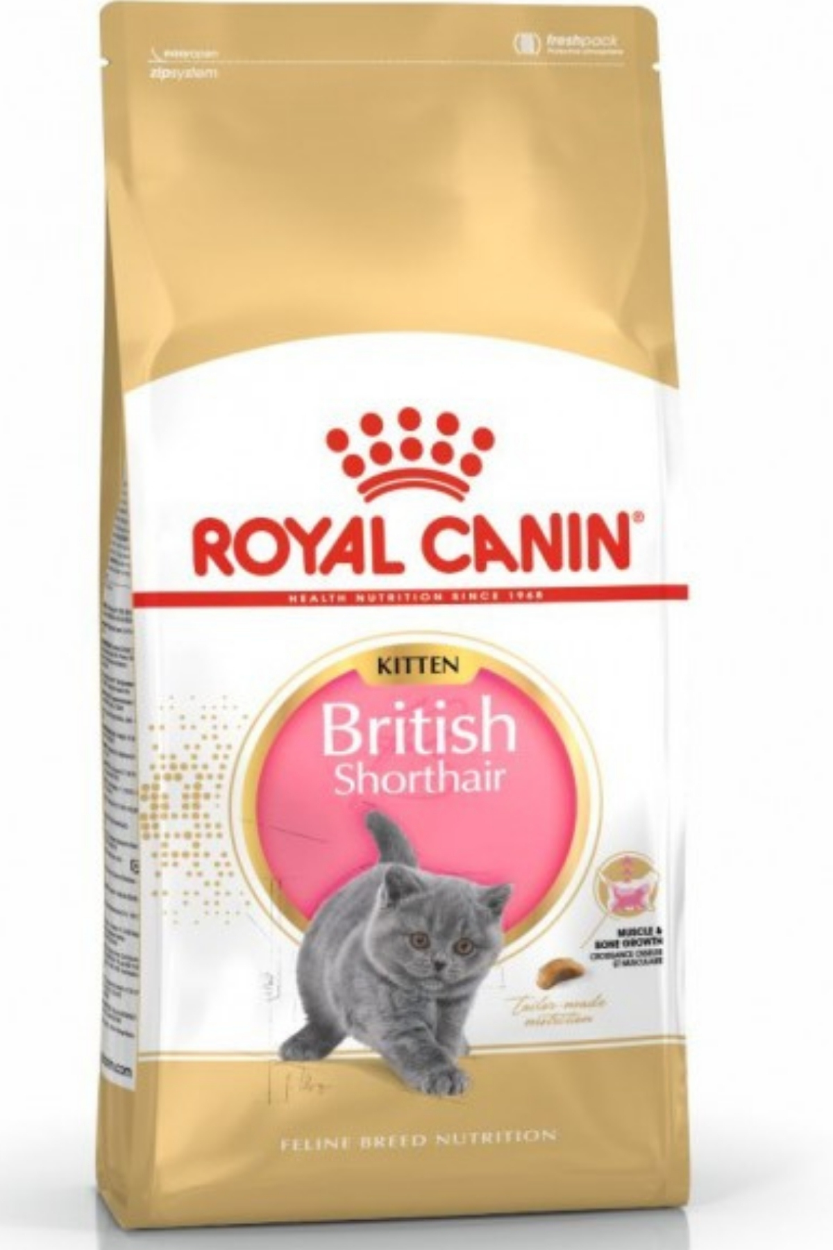 Royal Canin Kitten British Shorthair Yavru Kedi Maması 2 Kg
