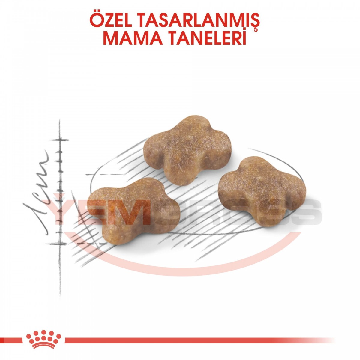 Royal Canin Kitten Yavru Kedi Maması 10 Kg