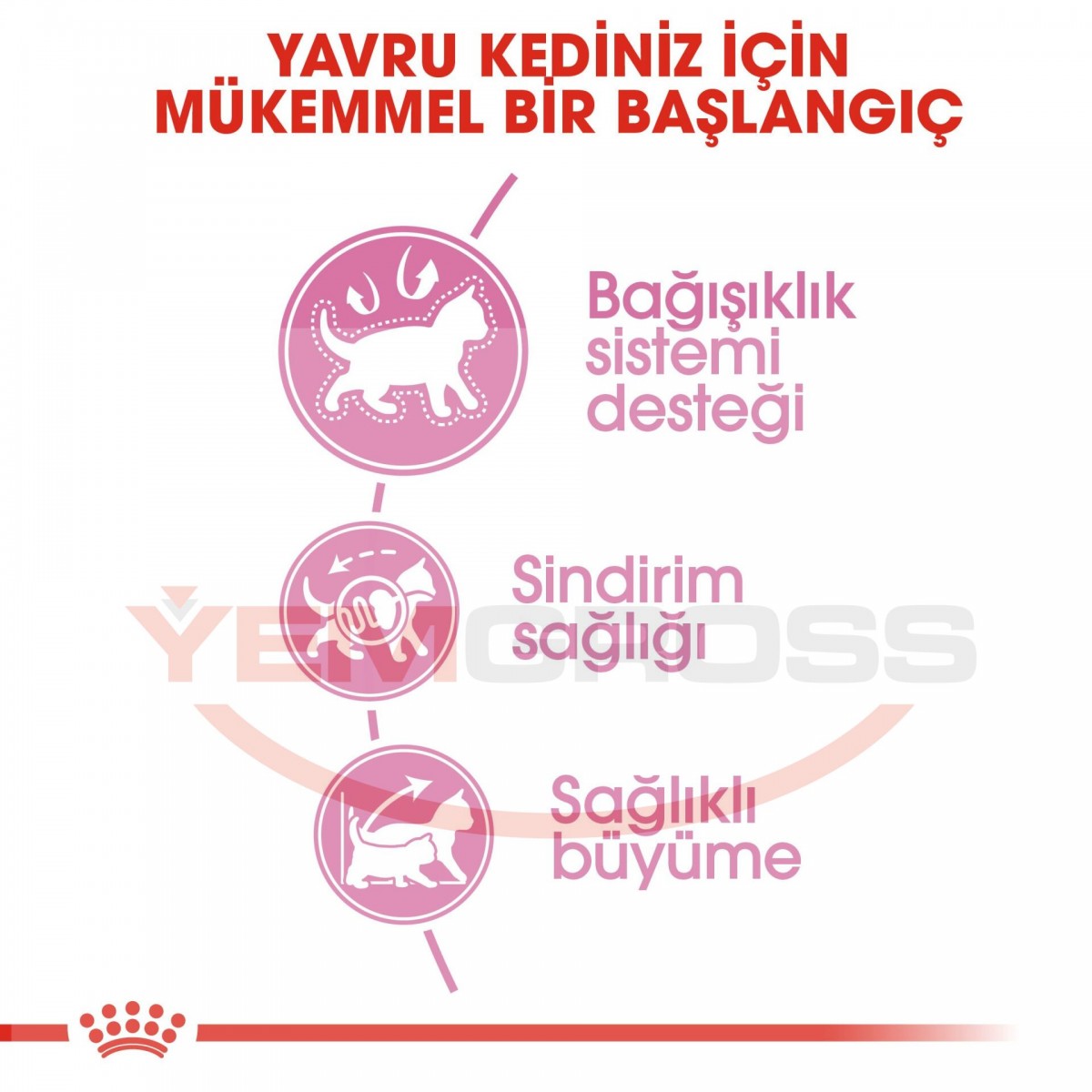 Royal Canin Kitten Yavru Kedi Maması 10 Kg