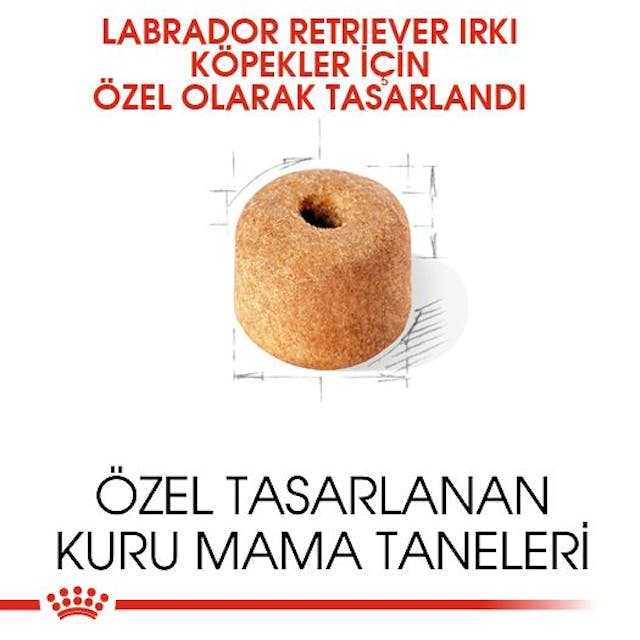 Royal Canin Labrador Retriever Adult Yetişkin Köpek Maması 12 Kg