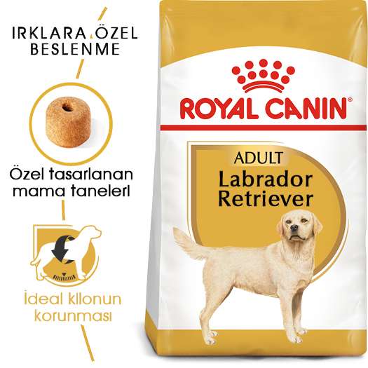 Royal Canin Labrador Retriever Adult Yetişkin Köpek Maması 12 Kg