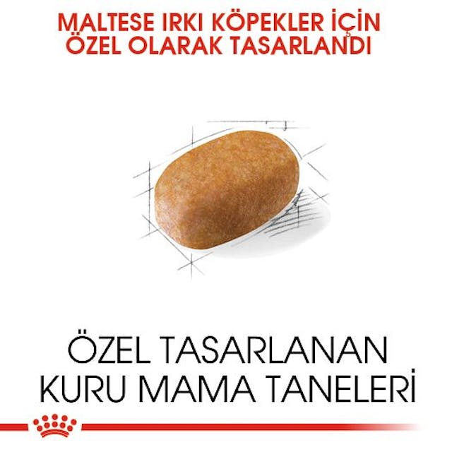 Royal Canin Maltese Adult Yetişkin Köpek Maması 1,5 Kg