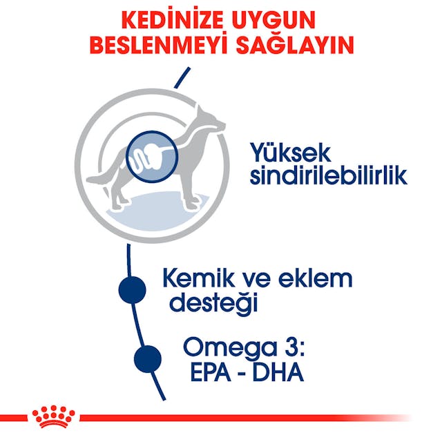Royal Canin Maxi Adult Büyük Irk Yetişkin Köpekler İçin Parça Etli Konserve Yaş Mama Pouch 140 Gr