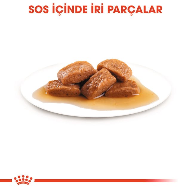 Royal Canin Maxi Adult Büyük Irk Yetişkin Köpekler İçin Parça Etli Konserve Yaş Mama Pouch 140 Gr