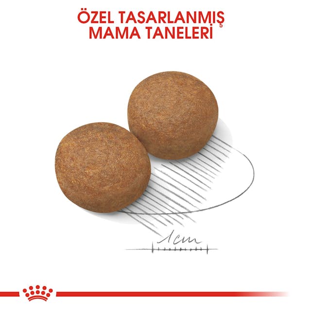 Royal Canin Maxi Adult Büyük Irk Yetişkin Köpek Maması 15 Kg Royal Canin Maxi Adult Büyük Irk Yetişkin Köpek Maması 15 Kg