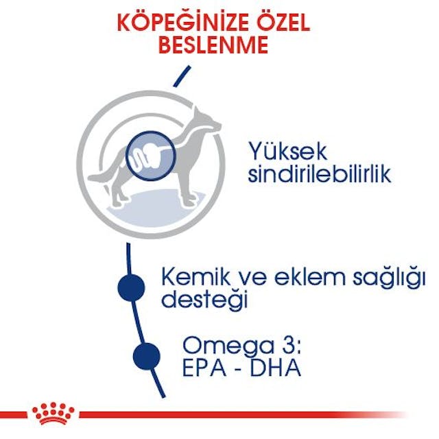 Royal Canin Maxi Adult Büyük Irk Yetişkin Köpek Maması 15 Kg Royal Canin Maxi Adult Büyük Irk Yetişkin Köpek Maması 15 Kg