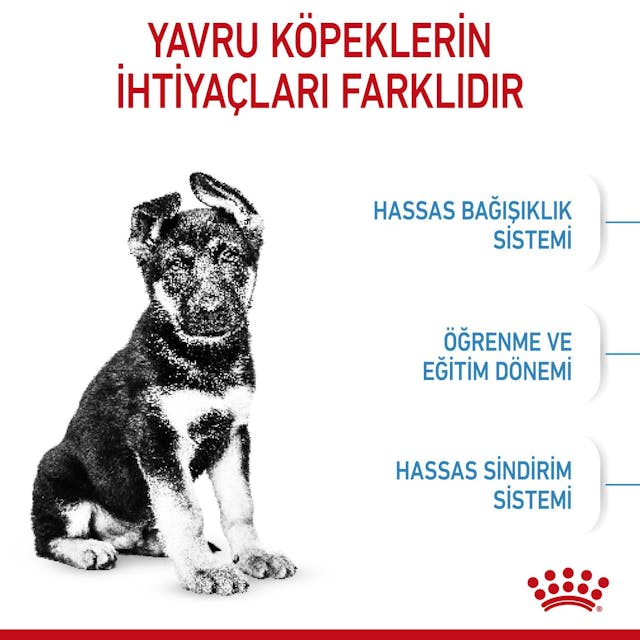 Royal Canin Maxi Puppy Büyük Irk Yavru Köpek Maması 15 Kg